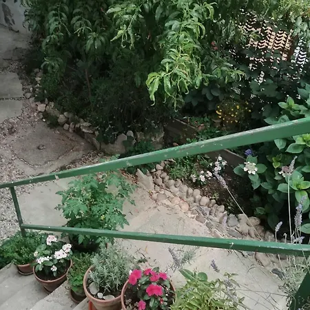 One Bedroom Flat In The Hearth Of Ptuj